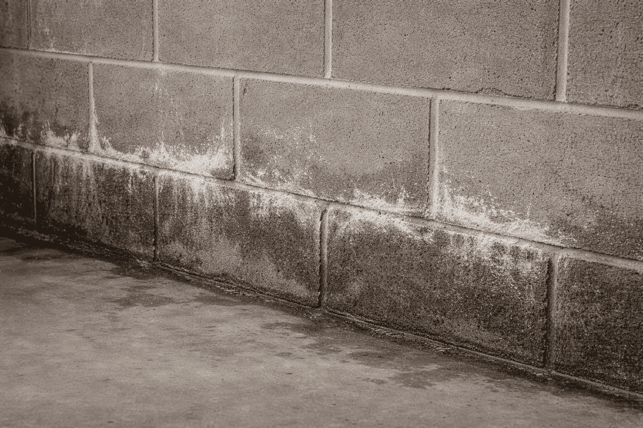 White Powder on Concrete Walls | Efflorescence Explained – H2O Supplies